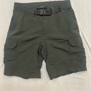 The north faceCargo Shorts